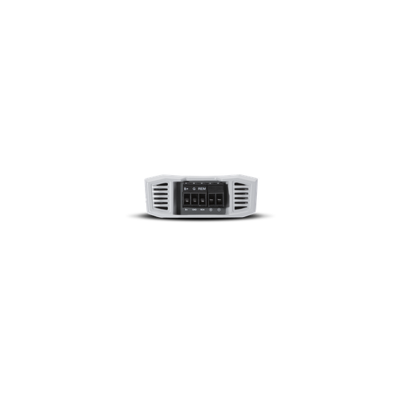 Amplifier Speaker Output Side View